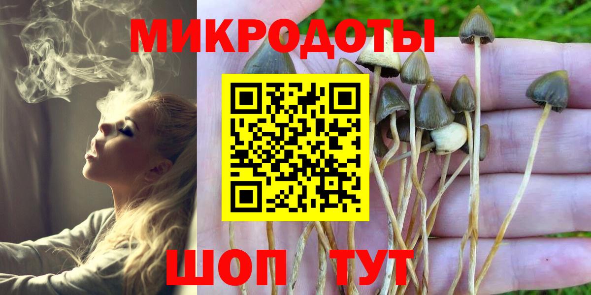 Галлюциногенные грибы MAGIC MUSHROOMS Сегежа